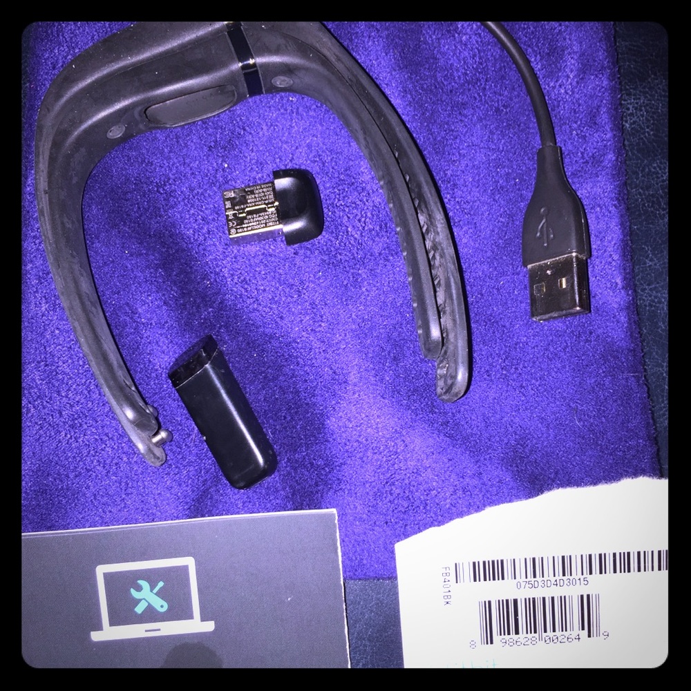 FitBit Flex plus Tory Burch FitBit Locket